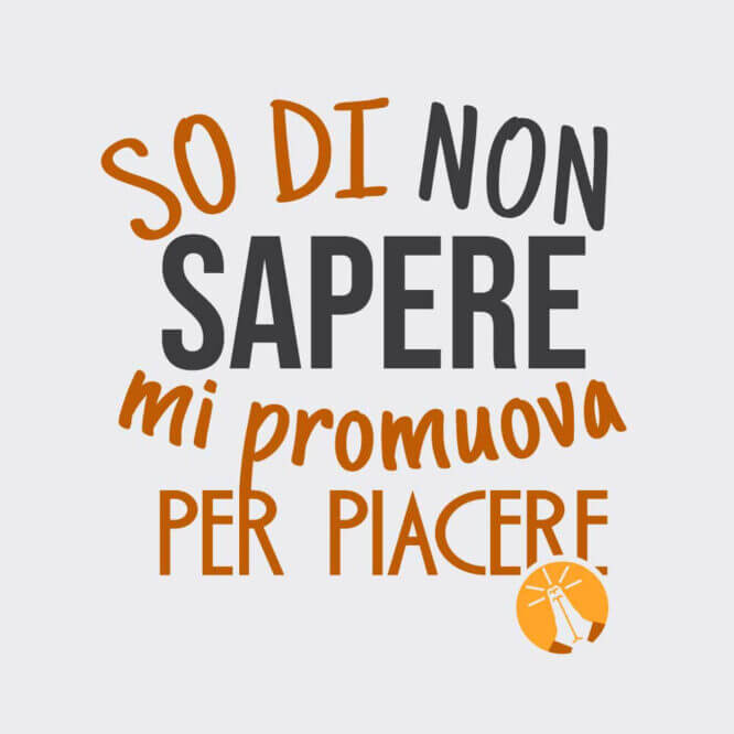 T-shirt Unisex "Promuova Per Piacere" - immagine 2